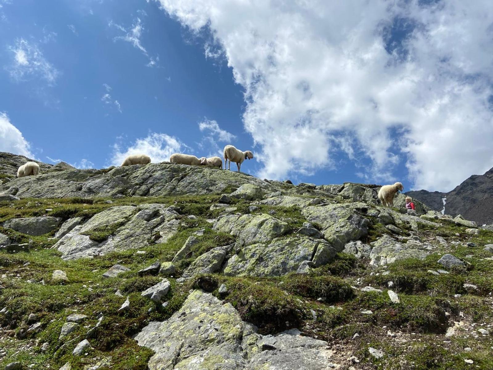 "Michls Hoamat" Ferienwohnung 6-8 Personen Sölden Exteriér fotografie